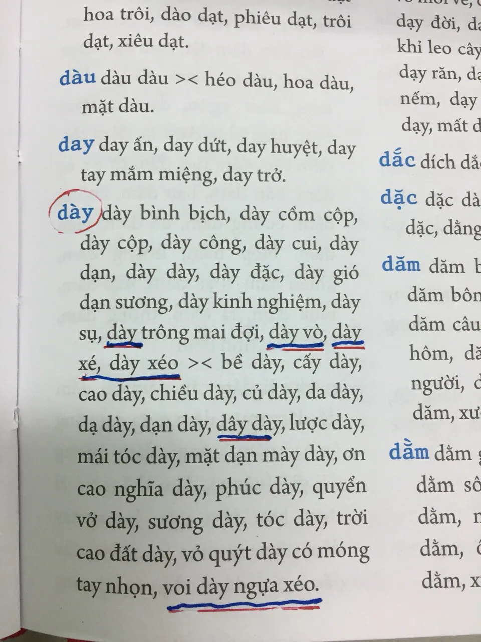 Từ điển chính tả thì vẫn có thể... mắc lỗi chính tả? - Ảnh 2.