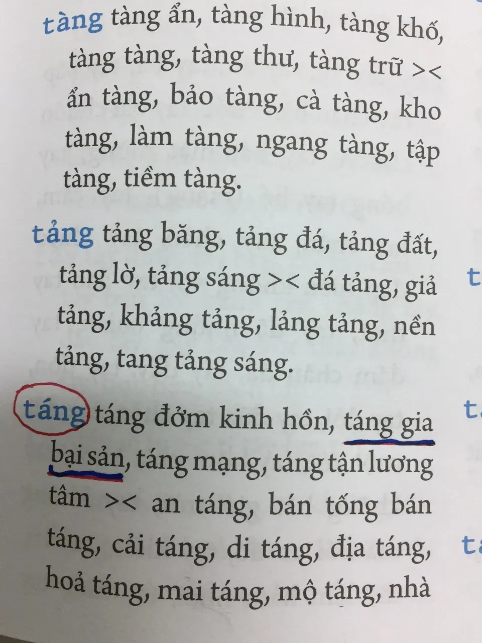 Từ điển chính tả thì vẫn có thể... mắc lỗi chính tả? - Ảnh 4.