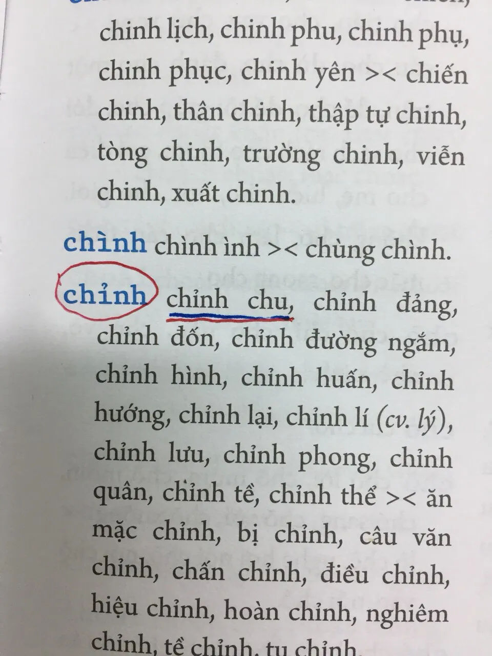 Từ điển chính tả thì vẫn có thể... mắc lỗi chính tả? - Ảnh 3.