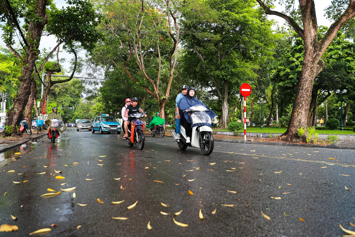 Ngắm g&oacute;c phố Thanh Ni&ecirc;n - Thuỵ Khu&ecirc; đẹp dịu d&agrave;ng sau cơn mưa r&agrave;o - Ảnh 1.