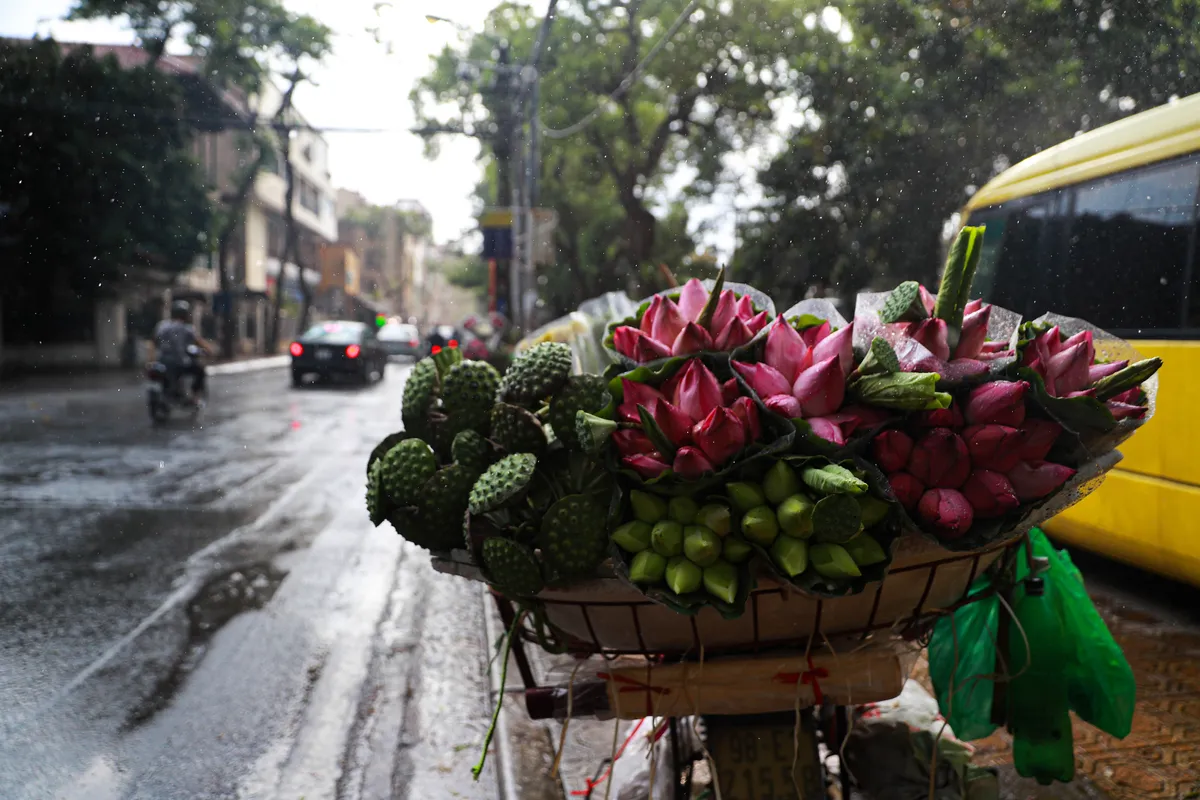 Ngắm g&oacute;c phố Thanh Ni&ecirc;n - Thuỵ Khu&ecirc; đẹp dịu d&agrave;ng sau cơn mưa r&agrave;o - Ảnh 5.