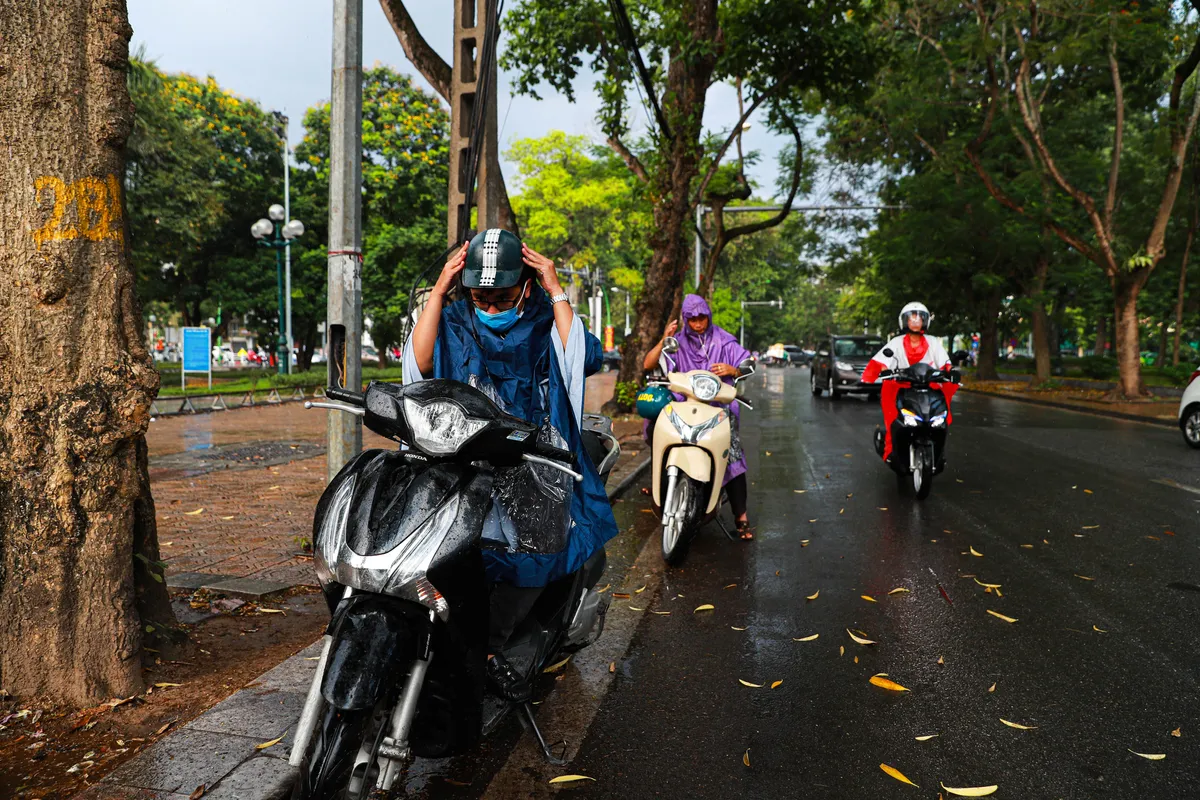 Ngắm g&oacute;c phố Thanh Ni&ecirc;n - Thuỵ Khu&ecirc; đẹp dịu d&agrave;ng sau cơn mưa r&agrave;o - Ảnh 2.