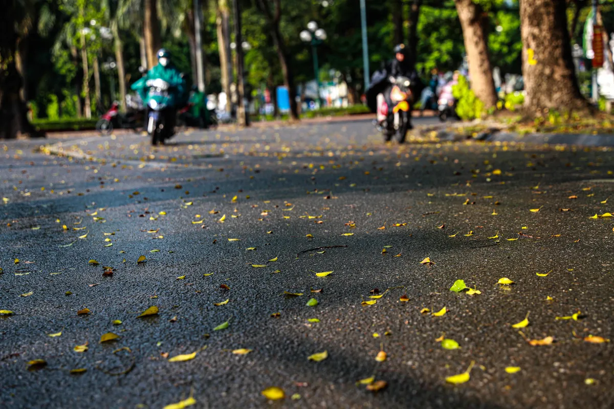 Ngắm g&oacute;c phố Thanh Ni&ecirc;n - Thuỵ Khu&ecirc; đẹp dịu d&agrave;ng sau cơn mưa r&agrave;o - Ảnh 7.