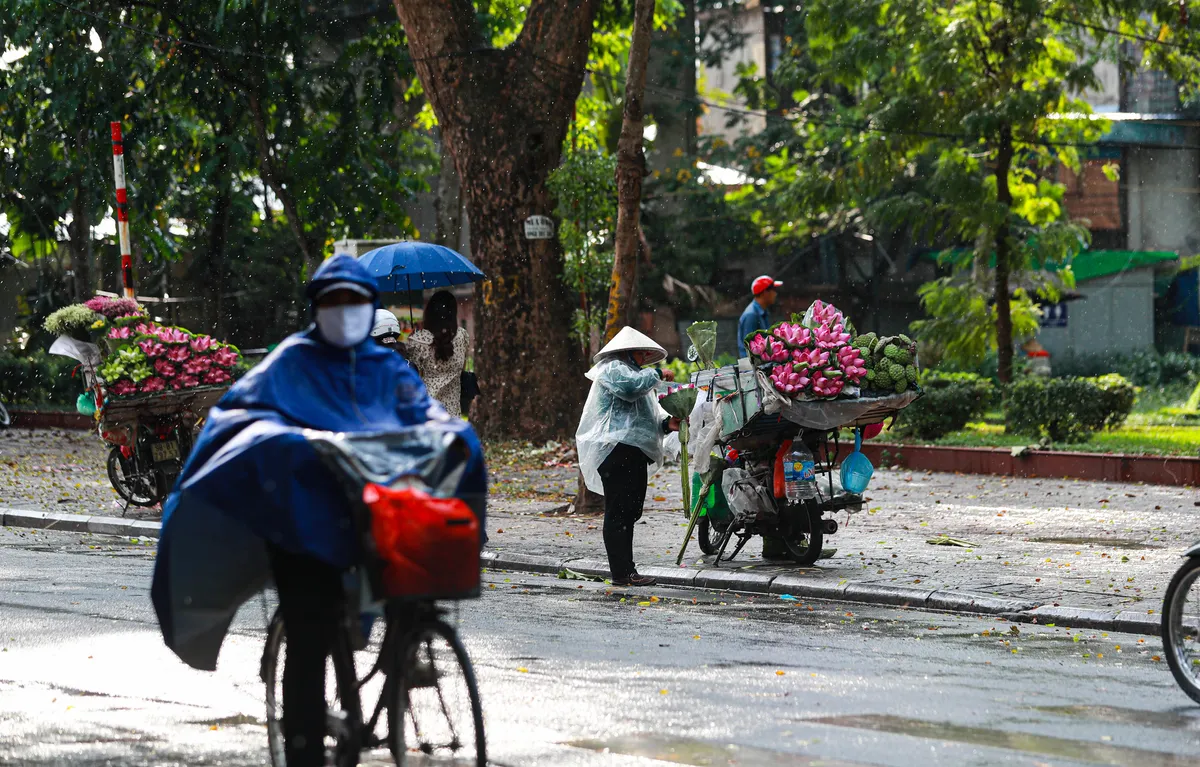 Ngắm g&oacute;c phố Thanh Ni&ecirc;n - Thuỵ Khu&ecirc; đẹp dịu d&agrave;ng sau cơn mưa r&agrave;o - Ảnh 4.