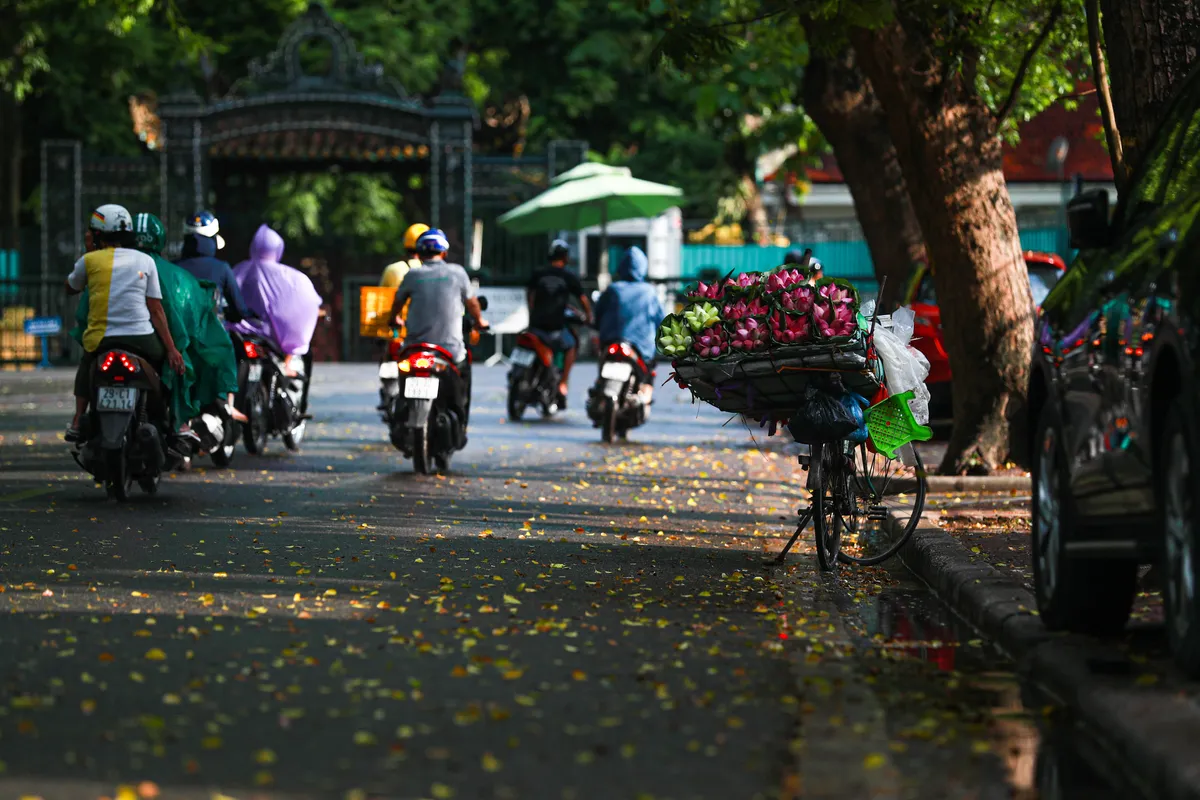 Ngắm g&oacute;c phố Thanh Ni&ecirc;n - Thuỵ Khu&ecirc; đẹp dịu d&agrave;ng sau cơn mưa r&agrave;o - Ảnh 8.
