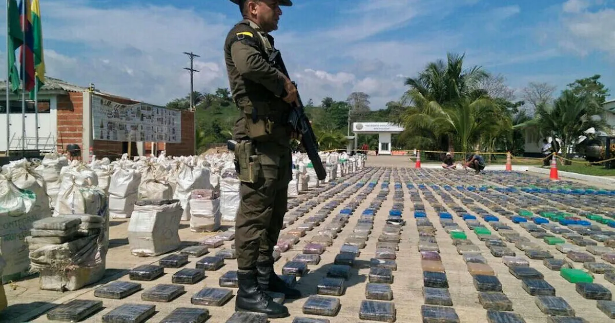 Colombia thu giữ lượng cocaine khủng trị giá 265 triệu USD trong các container - Ảnh 1.