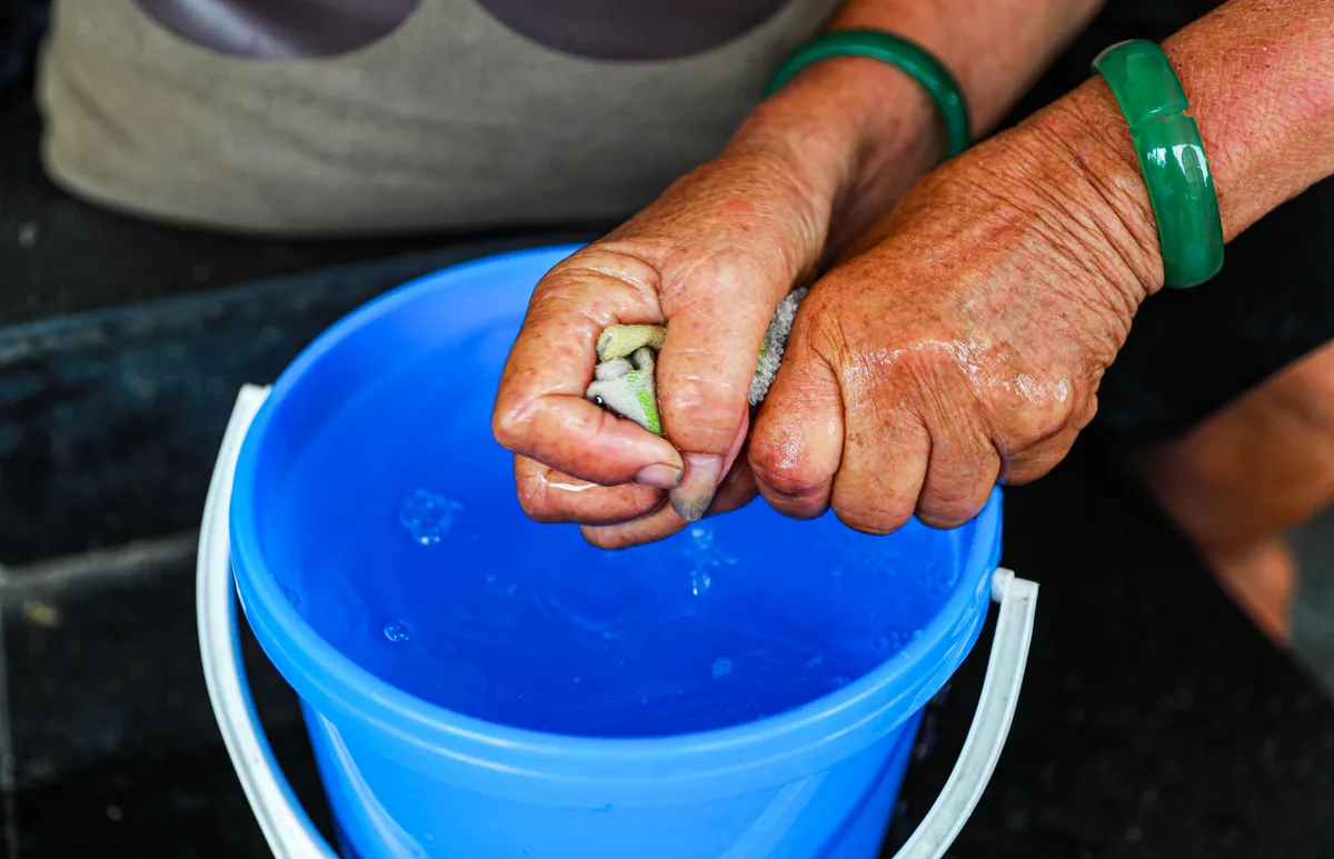 5 thập kỷ gắn b&oacute; với vỉa h&egrave; H&agrave; Nội của b&agrave; cụ 80 tuổi: Chẳng sợ bom rơi th&igrave; giờ ngại g&igrave; nắng mưa - Ảnh 10.