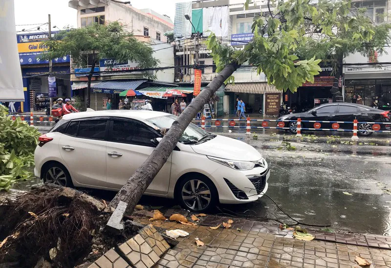 Dông lốc chưa từng thấy khiến cây xanh ngã đổ hàng loạt, 9 ô tô hư hỏng nặng - Ảnh 2.