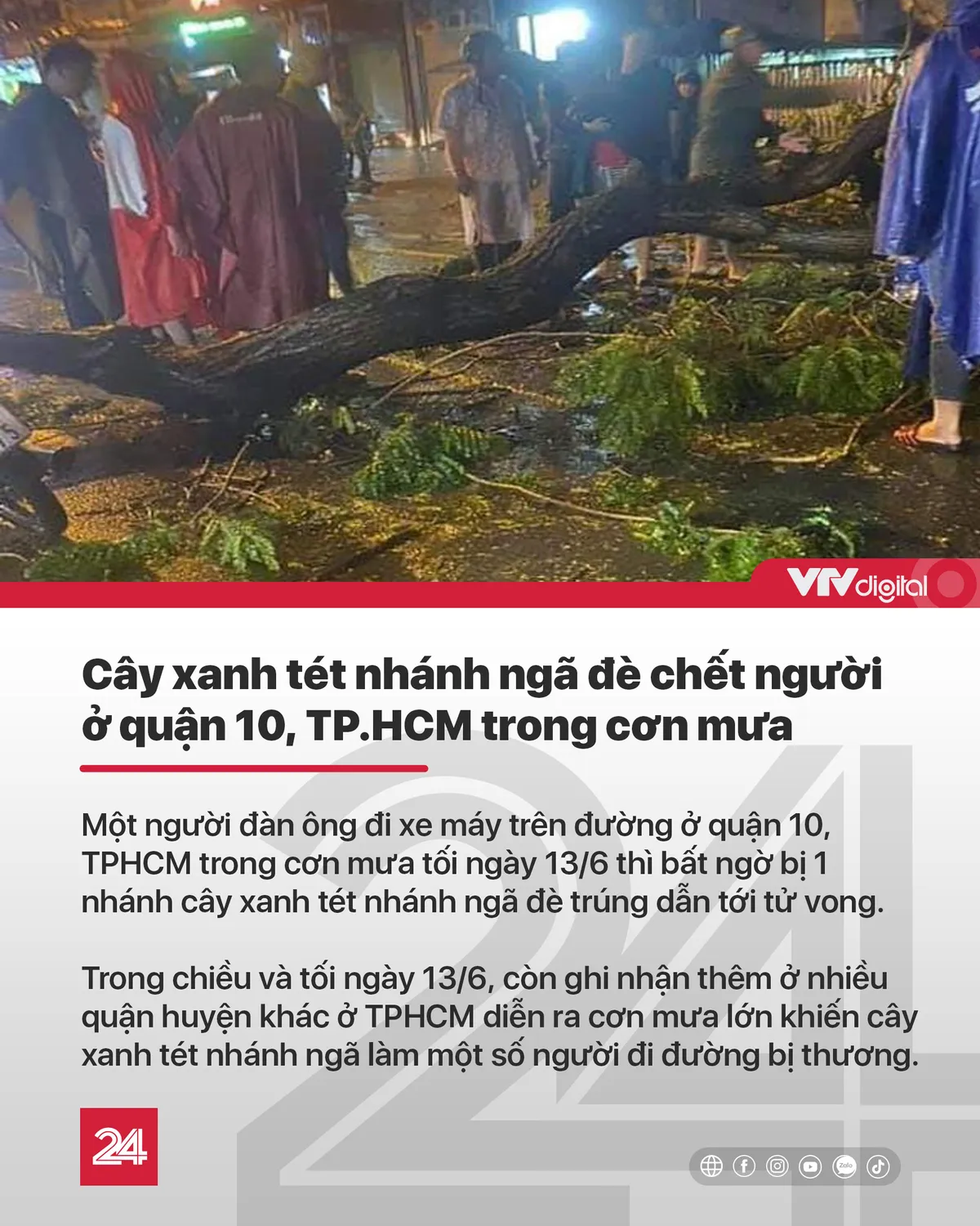 Tin nóng ngày 14/6: Cà Mau: Lại phát hiện xác thai nhi lẫn trong rác thải - Ảnh 2.