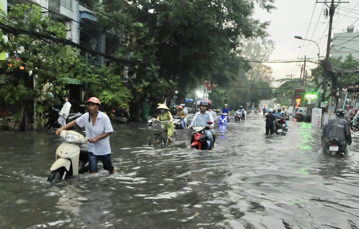 TP.HCM: Mưa lớn, nhiều tuyến đường ngập như sông, 4 người thương vong do cây đổ - Ảnh 5.