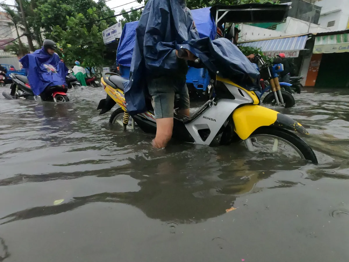 TP.HCM: Mưa lớn, nhiều tuyến đường ngập như sông, 4 người thương vong do cây đổ - Ảnh 8.