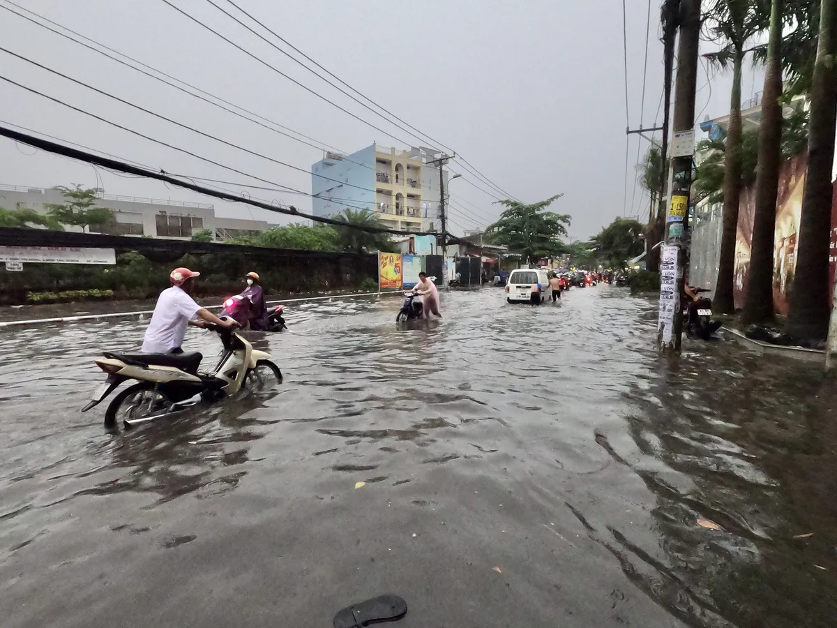 TP.HCM: Mưa lớn, nhiều tuyến đường ngập như sông, 4 người thương vong do cây đổ - Ảnh 9.