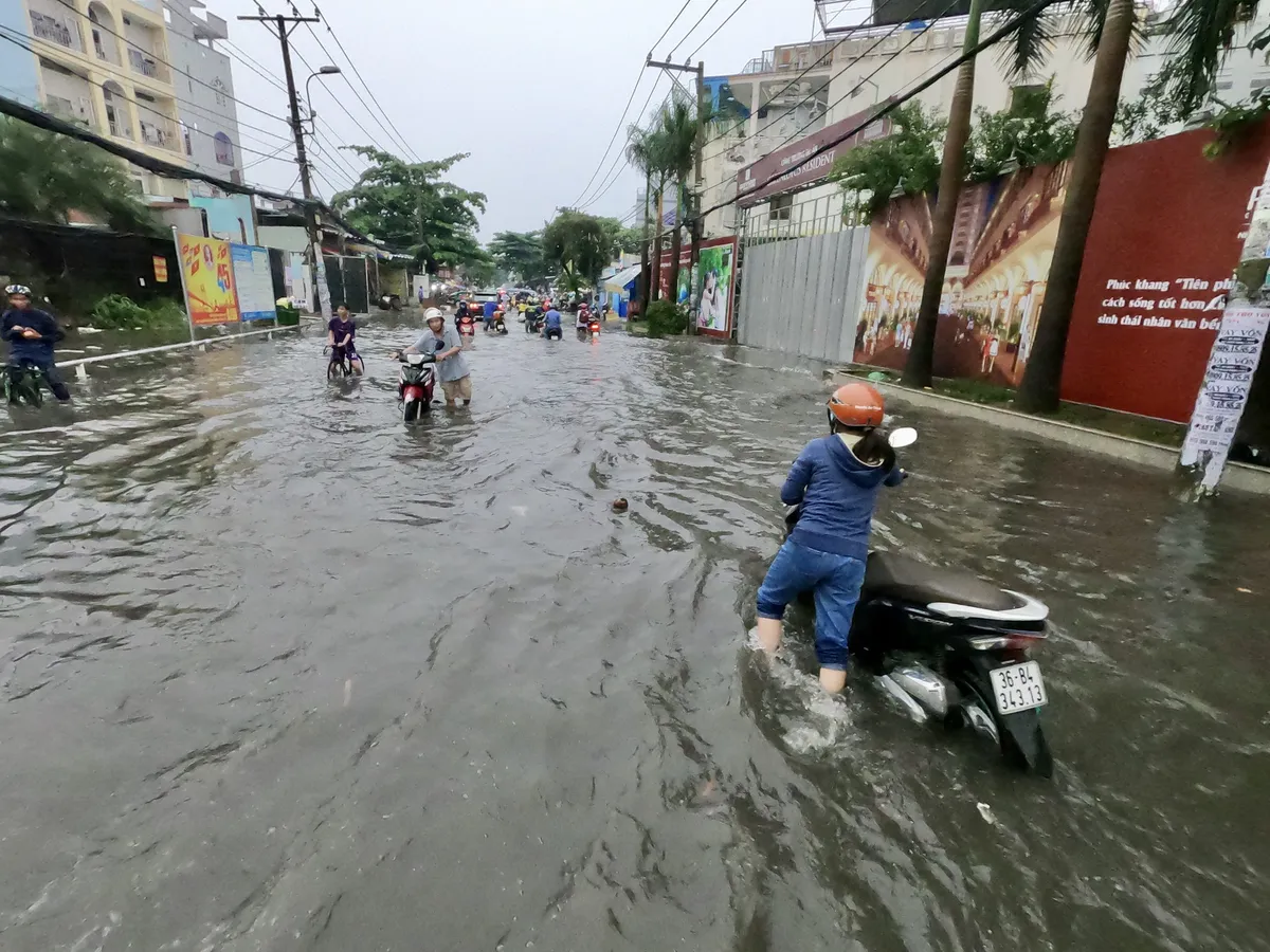 TP.HCM: Mưa lớn, nhiều tuyến đường ngập như sông, 4 người thương vong do cây đổ - Ảnh 6.