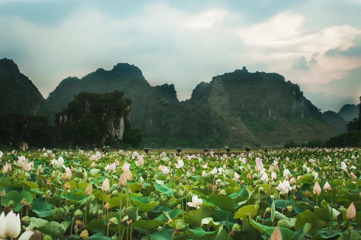 3 điểm đến đẹp say lòng người khi du lịch Ninh Bình - Ảnh 13.