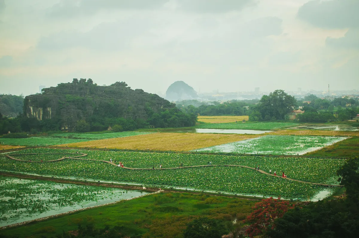 3 điểm đến đẹp say lòng người khi du lịch Ninh Bình - Ảnh 10.