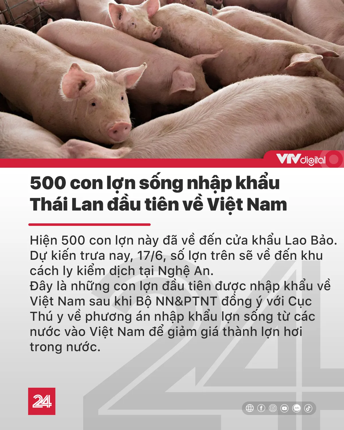 Tin nóng đầu ngày 17/6: Đề nghị bác kháng cáo không tử hình 6 bị cáo sát hại nữ sinh giao gà - Ảnh 3.