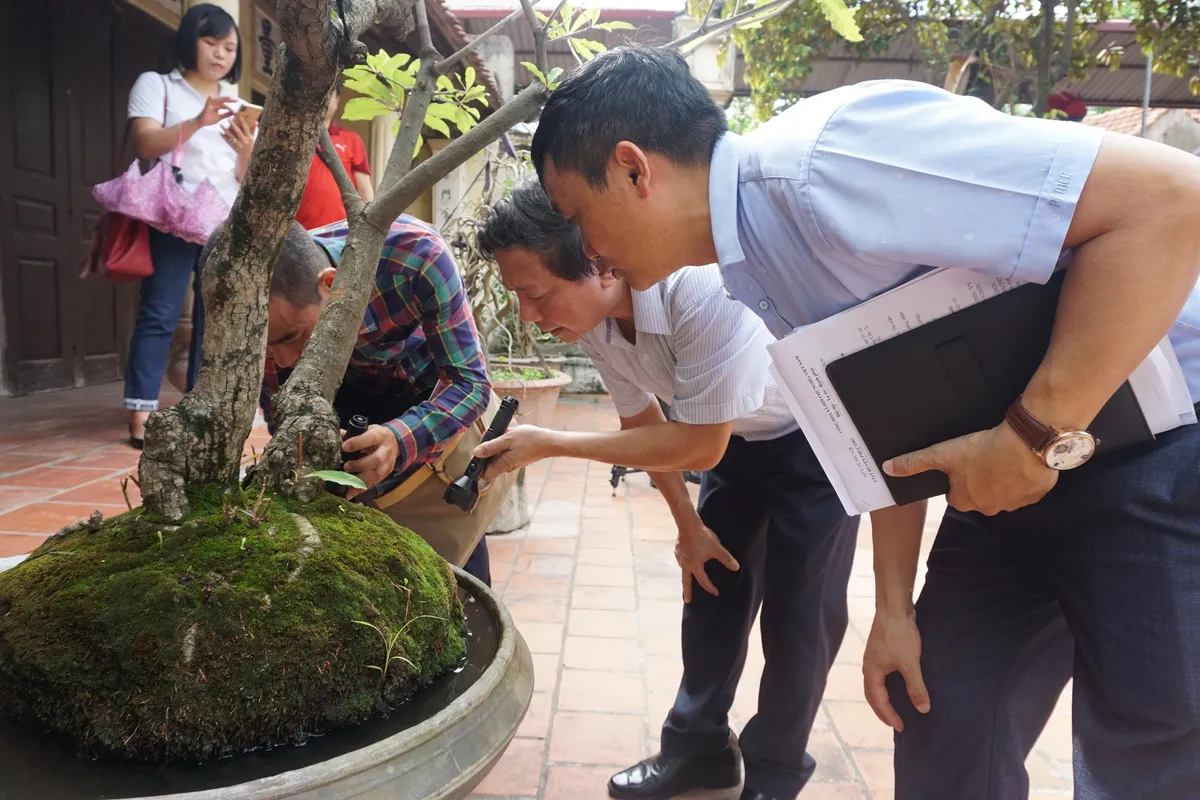 Hà Nội: Số ca mắc sốt xuất huyết tăng nhanh tại huyện Phúc Thọ - Ảnh 1. Hà Nội: Số ca mắc sốt xuất huyết tăng nhanh tại huyện Phúc Thọ - Ảnh 1.