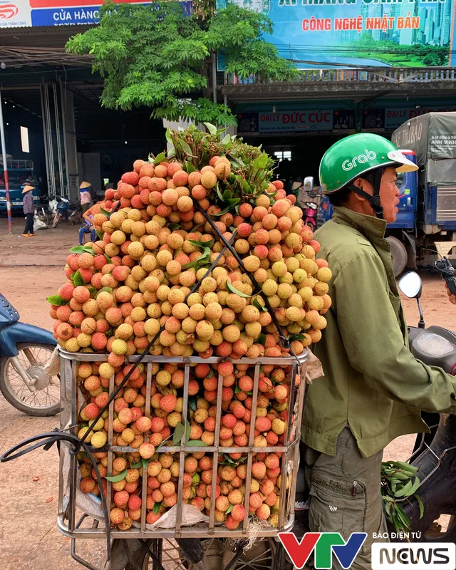 Đỏ rực “vương quốc” vải thiều những ngày tháng 6… - Ảnh 5.