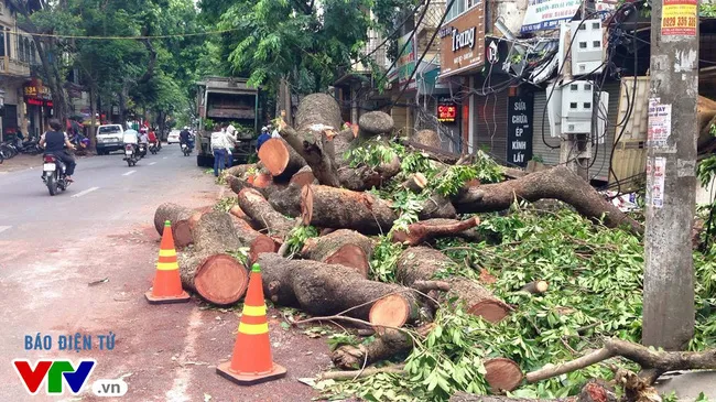 Rà soát công trình, nhà ở không bảo đảm an toàn trong mùa mưa bão - Ảnh 1.