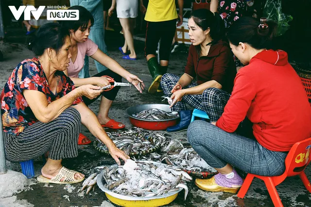 Bến cá Nghi Thủy nhộn nhịp lúc bình minh - Ảnh 11.