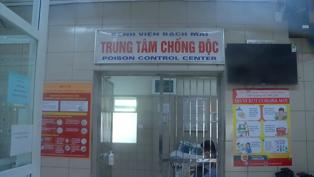 Hoại tử tay do rắn cắn, cảnh báo mùa rắn phát triển - Ảnh 1.