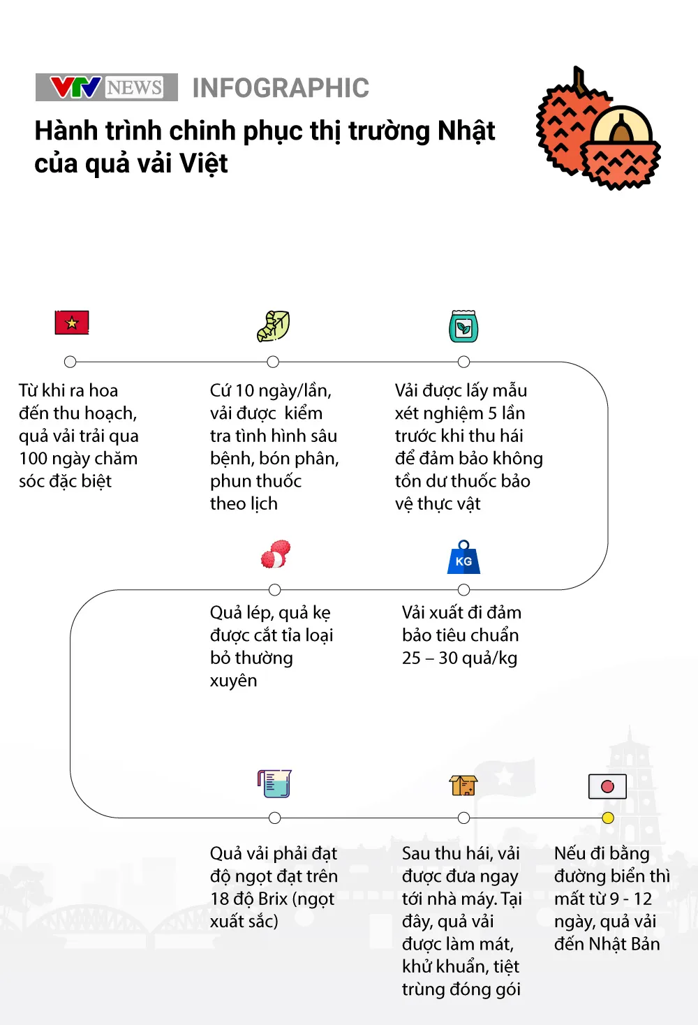 [INFOGRAPHIC] Đem chuông đi đánh xứ người, quả vải Việt chinh phục thị trường Nhật Bản như thế nào? - Ảnh 1.