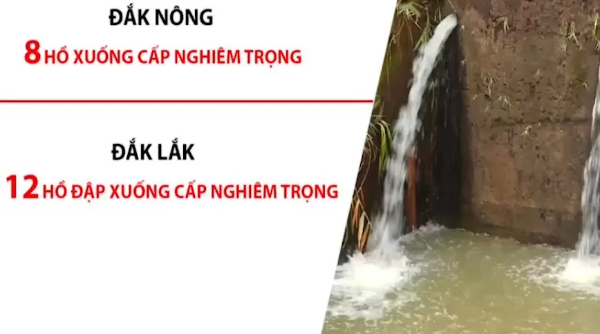 Nhiều hồ đập ở Tây Nguyên đang kêu cứu - Ảnh 3.