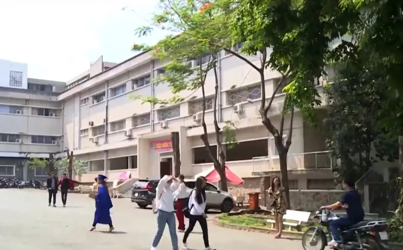 Quản lý cây xanh trường học: Nhập nhằng trách nhiệm! - Ảnh 1. Quản lý cây xanh trường học: Nhập nhằng trách nhiệm! - Ảnh 1.