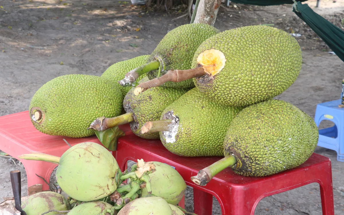 Mít - “Siêu thực phẩm” thay thế thịt trong tương lai - Ảnh 1.
