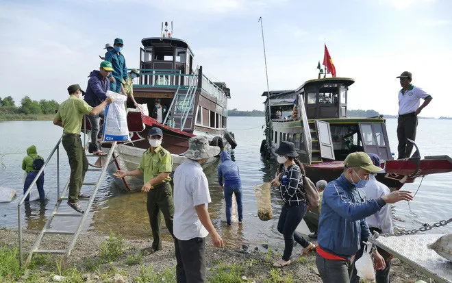 Hàng triệu con cá giống được thả xuống giữa lòng hồ thủy điện lớn nhất miền Nam - Ảnh 1.