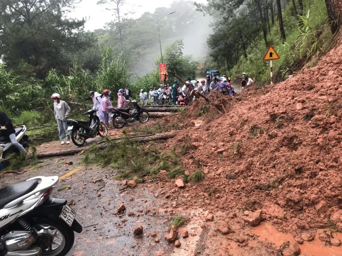 Mưa lớn gây sạt lở nghiêm trọng ở Đà Lạt,  nhiều cây xanh bị quật ngã - Ảnh 2.