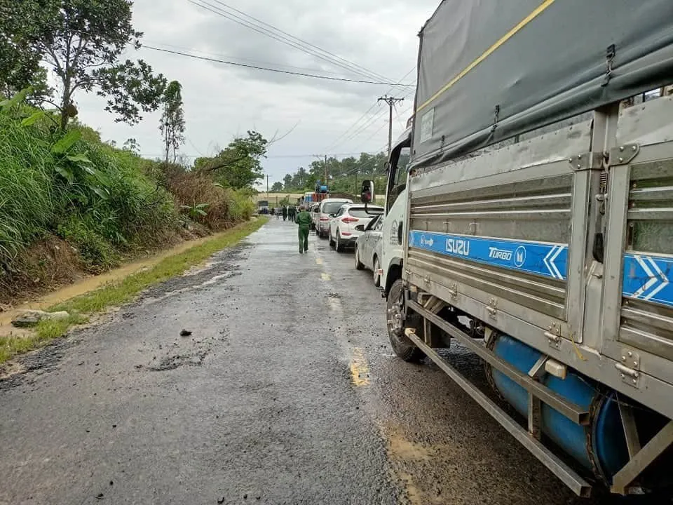 Mưa lớn gây sạt lở nghiêm trọng ở Đà Lạt,  nhiều cây xanh bị quật ngã - Ảnh 3.