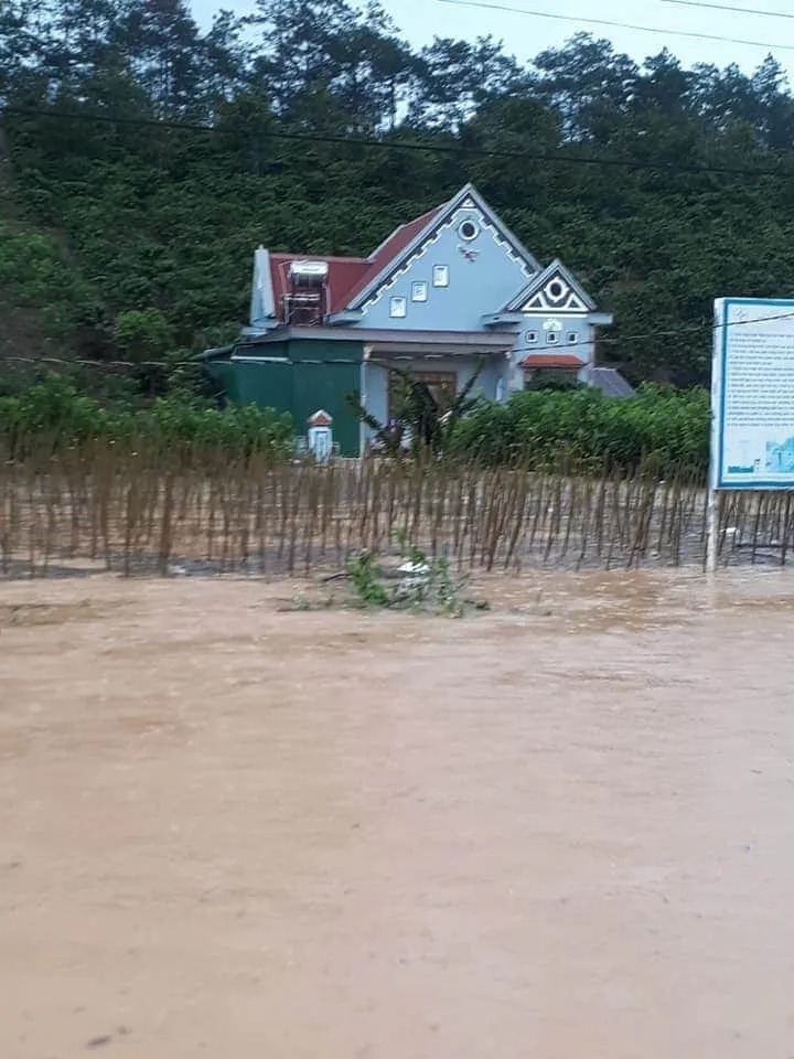 Mưa lớn gây sạt lở nghiêm trọng ở Đà Lạt,  nhiều cây xanh bị quật ngã - Ảnh 5.