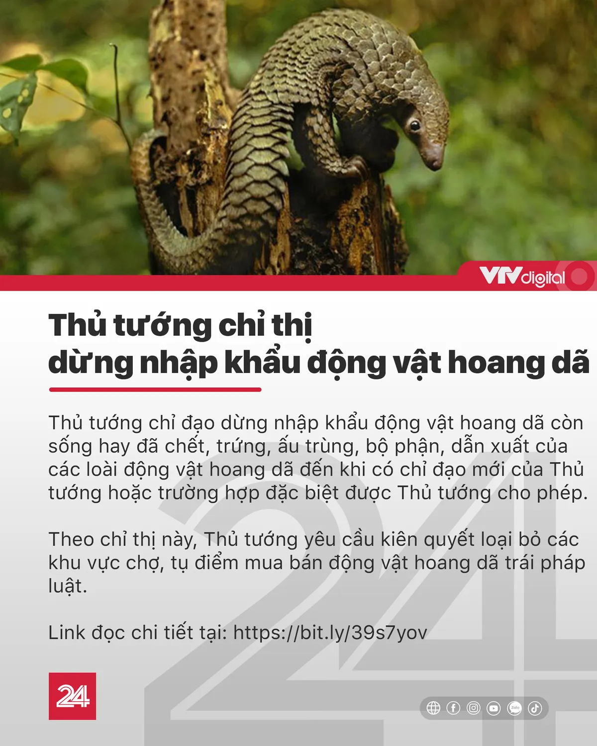 Tin nóng đầu ngày 24/7: Thưởng 100 triệu đồng cho ê-kíp phẫu thuật tách dính cặp Song Nhi - Ảnh 5.