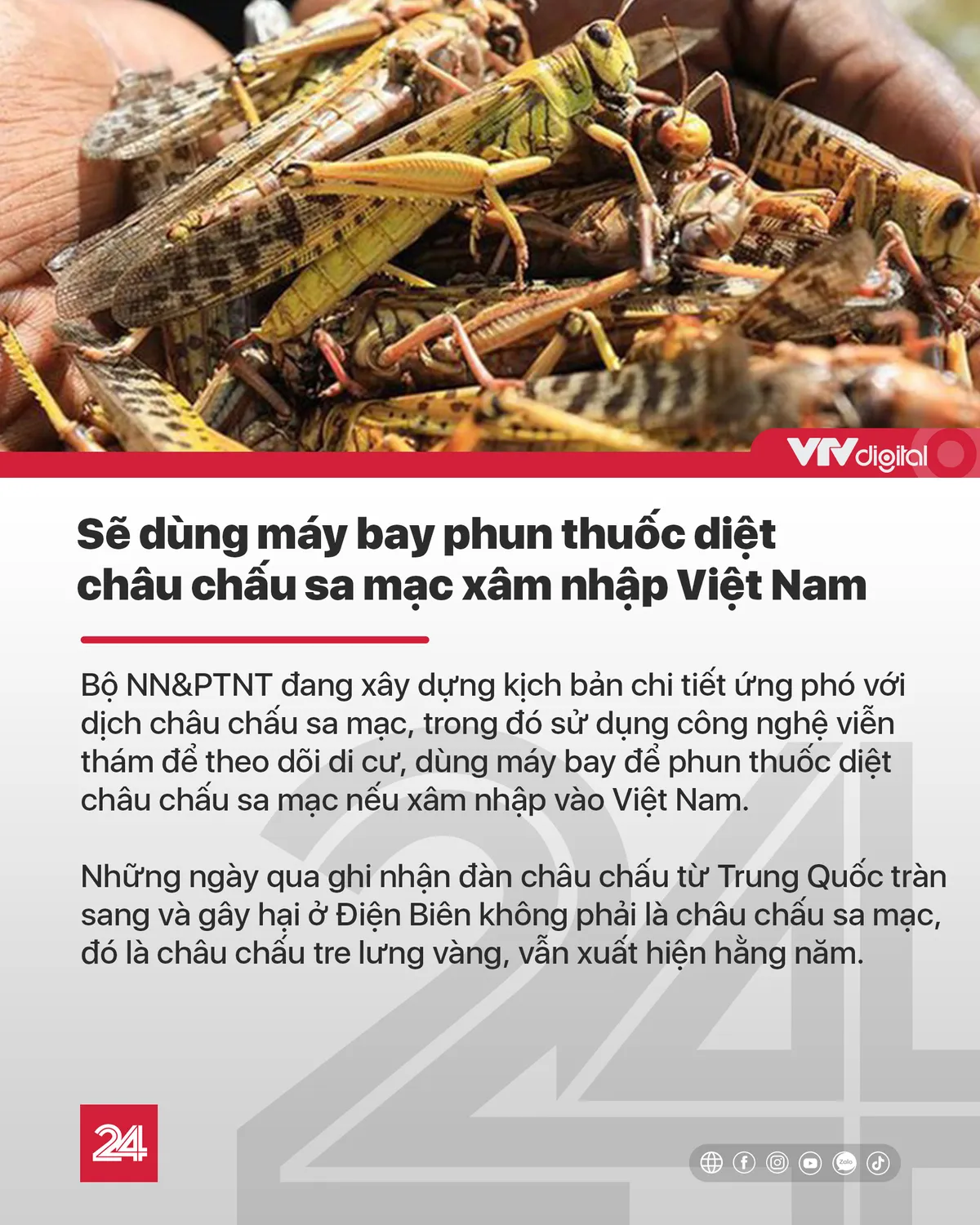 Tin nóng đầu ngày 25/7: Đà Nẵng rà soát người nhập cảnh sau ca nghi mắc COVID-19 - Ảnh 4.