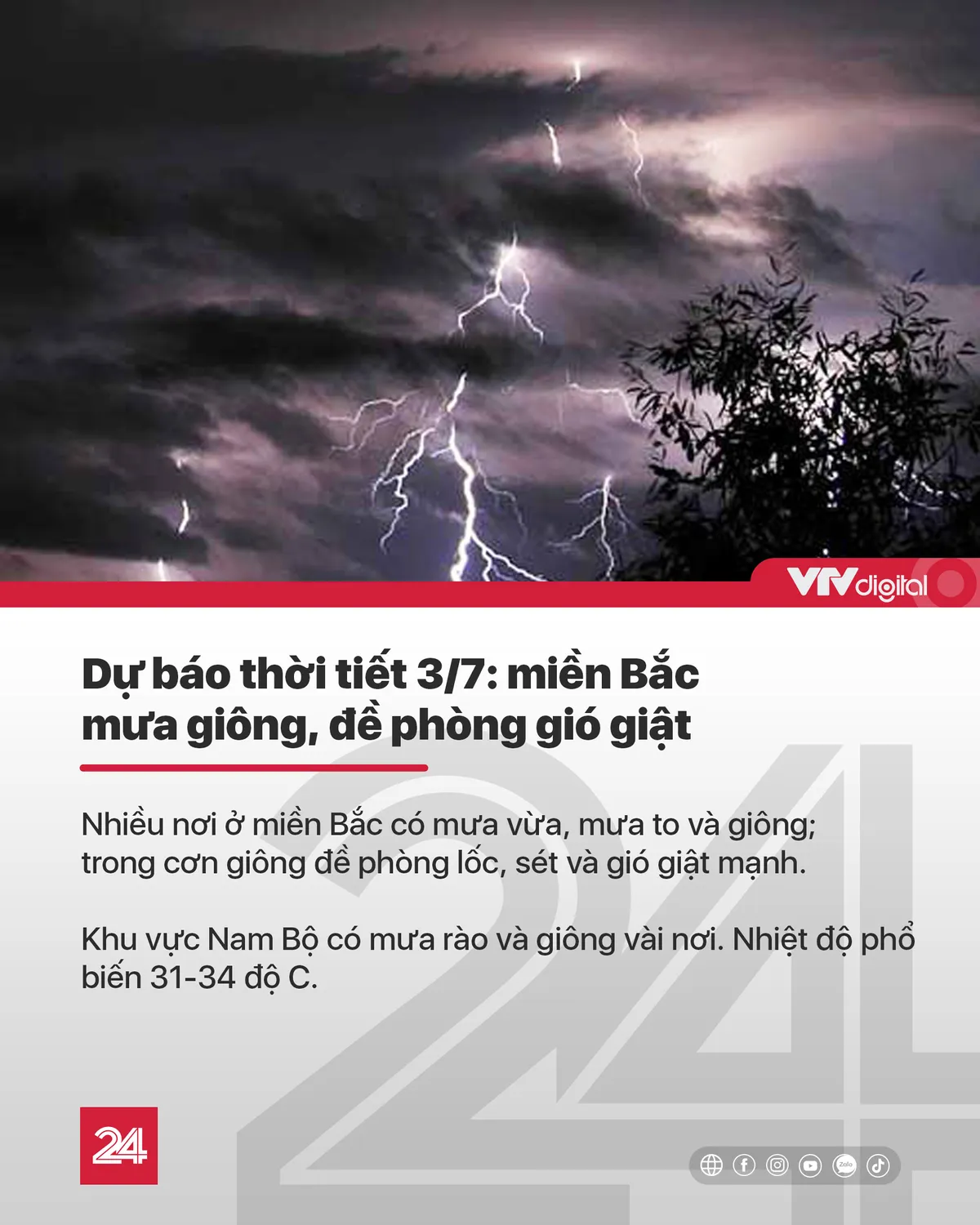 Tin nóng đầu ngày 3/7: Báo động tình trạng kiến ba khoang tấn công, thêm 3 ca bạch hầu ở Đăk Nông - Ảnh 10.