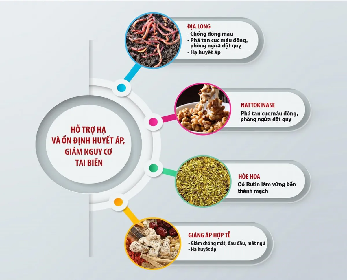 Xu hướng mới trong điều trị tăng huyết áp và phòng ngừa đột quỵ - Ảnh 4. Xu hướng mới trong điều trị tăng huyết áp và phòng ngừa đột quỵ - Ảnh 4.