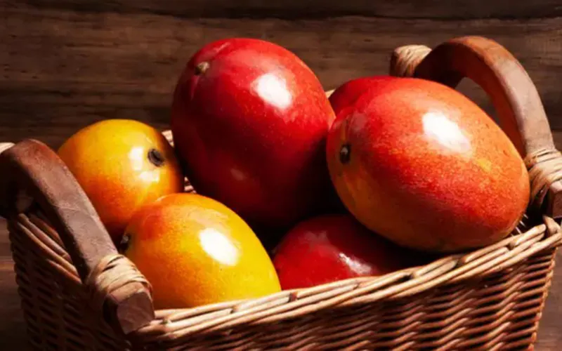 Những loại quả chỉ dành cho “thượng đế” nhiều tiền - Ảnh 4.