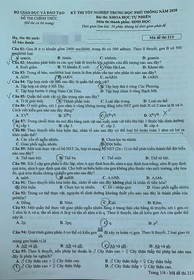 Đề thi chính thức môn Sinh học, bài thi Khoa học tự nhiên của kỳ thi tốt nghiệp THPT 2020 - Ảnh 1.
