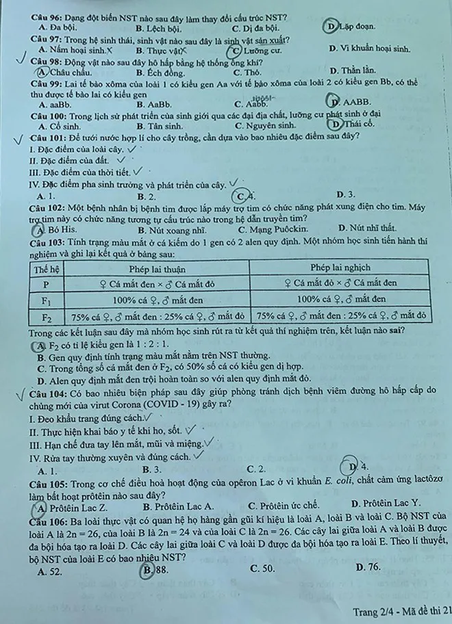 Đề thi chính thức môn Sinh học, bài thi Khoa học tự nhiên của kỳ thi tốt nghiệp THPT 2020 - Ảnh 2.