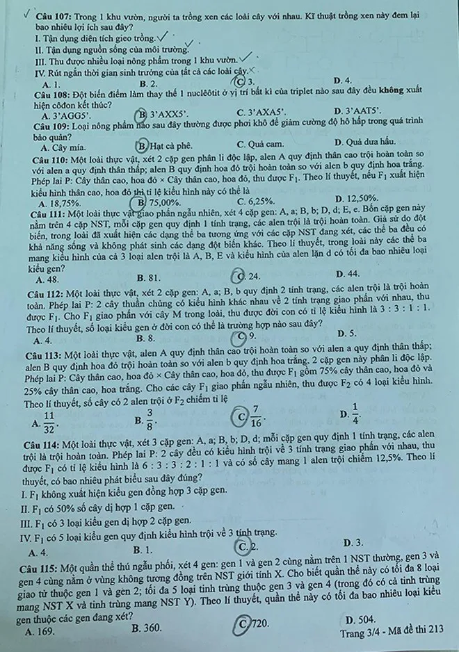Đề thi chính thức môn Sinh học, bài thi Khoa học tự nhiên của kỳ thi tốt nghiệp THPT 2020 - Ảnh 3.