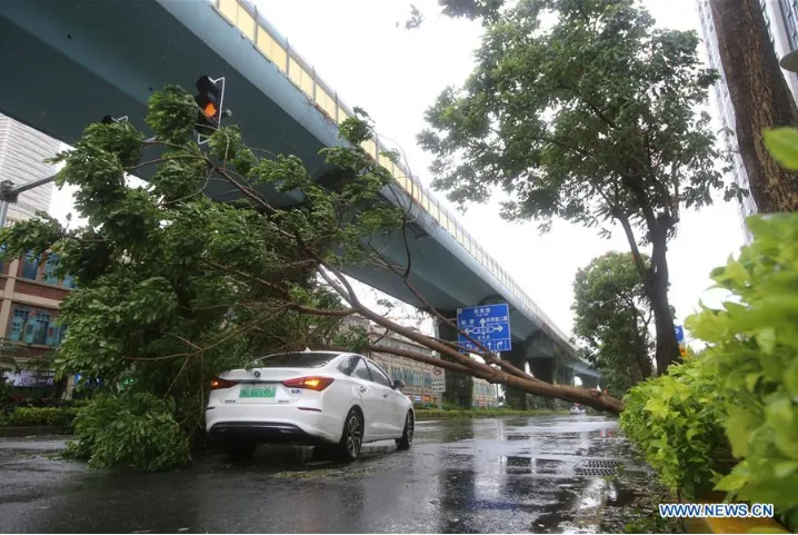 Bão Mekkhala đổ bộ vào miền Đông Trung Quốc, gây mưa to gió lớn - Ảnh 3.