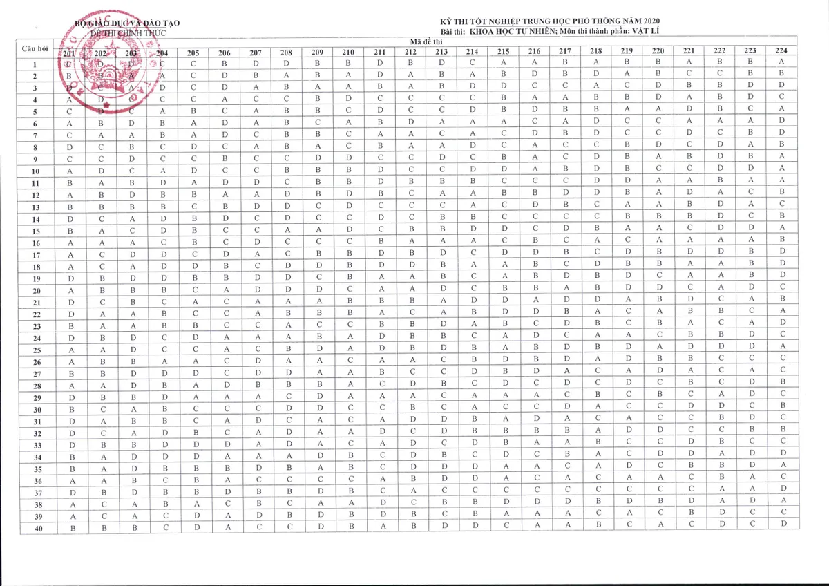 CHÍNH THỨC: Đáp án toàn bộ các môn thi tại kỳ thi tốt nghiệp THPT 2020 - Ảnh 5.