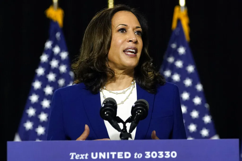 Người Ấn tự hào khi bà Kamala Harris trở thành ứng cử viên Phó Tổng thống tại Mỹ - Ảnh 1.