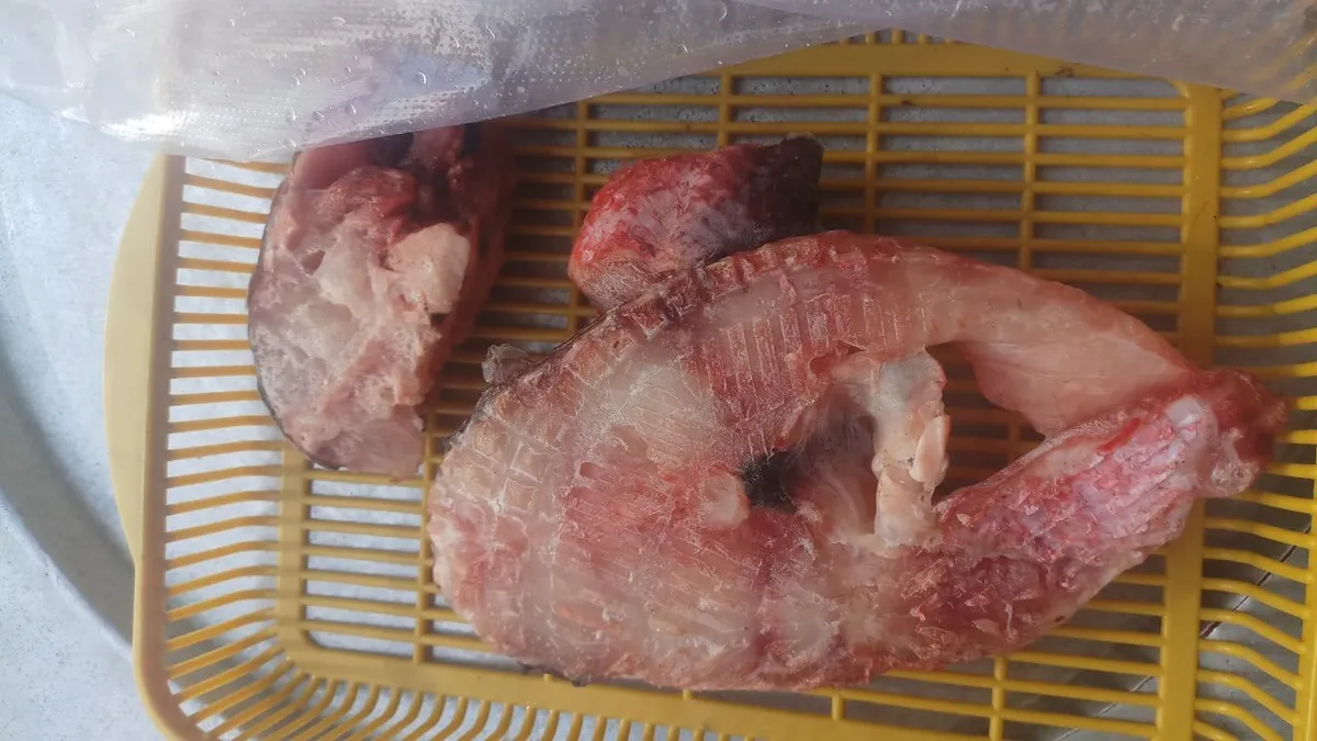 Bà Rịa - Vũng Tàu: 23 người ở nhập viện sau khi ăn cá hồng, đâu là nguyên nhân? - Ảnh 1. Bà Rịa - Vũng Tàu: 23 người ở nhập viện sau khi ăn cá hồng, đâu là nguyên nhân? - Ảnh 1.