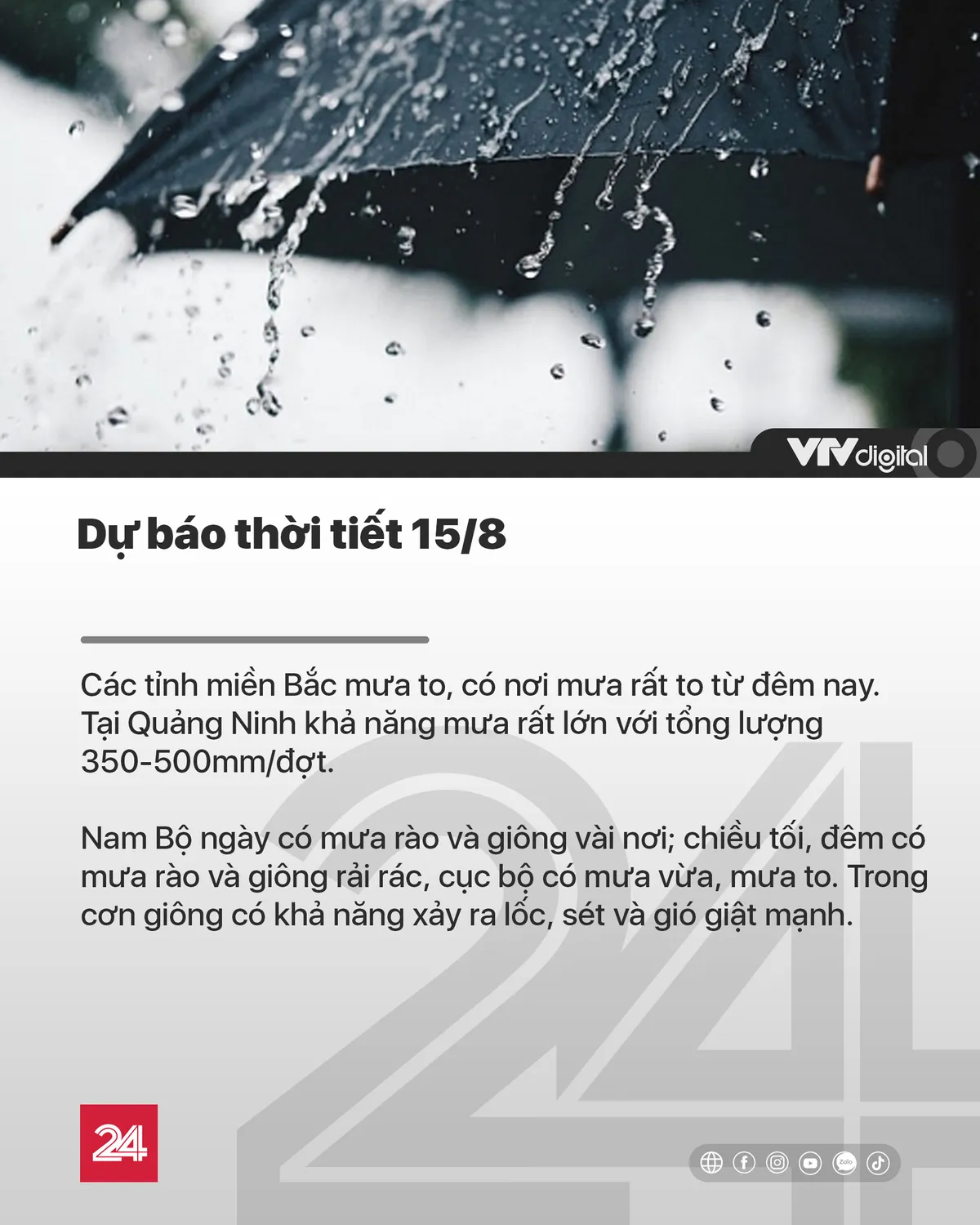 Tin nóng đầu ngày 15/8: Hàng trăm cây xanh tiếp tục đột tử trên con đường mới mở ở Hà Nội - Ảnh 13.