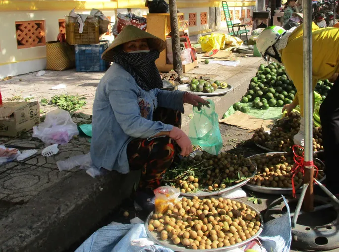 Nhãn Bắc giá 8.000 đồng/kg ế ẩm, thanh nhãn 170.000 đồng vẫn có người mua - Ảnh 1.