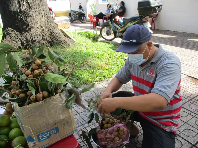 Nhãn Bắc giá 8.000 đồng/kg ế ẩm, thanh nhãn 170.000 đồng vẫn có người mua - Ảnh 2.