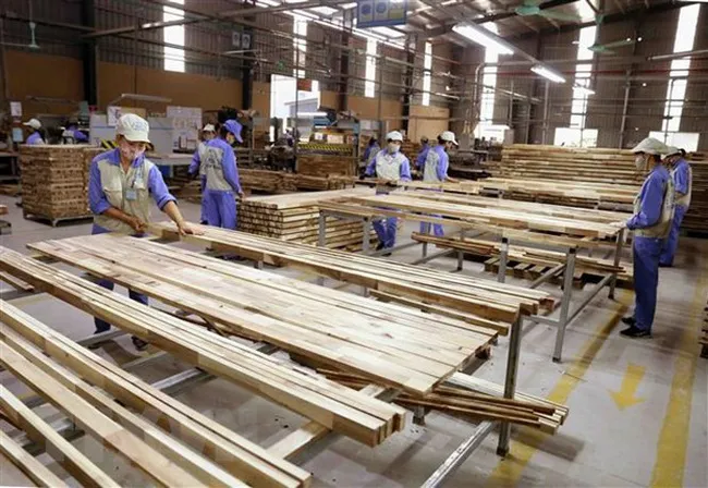 Thấy gì từ việc Hải quan áp mã HS với gỗ ván ghép thanh? - Ảnh 2.