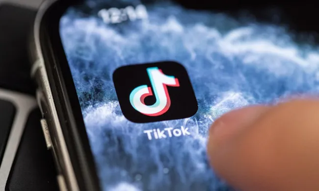 TikTok trông đợi vào miếng bánh Đông Nam Á - Ảnh 1.